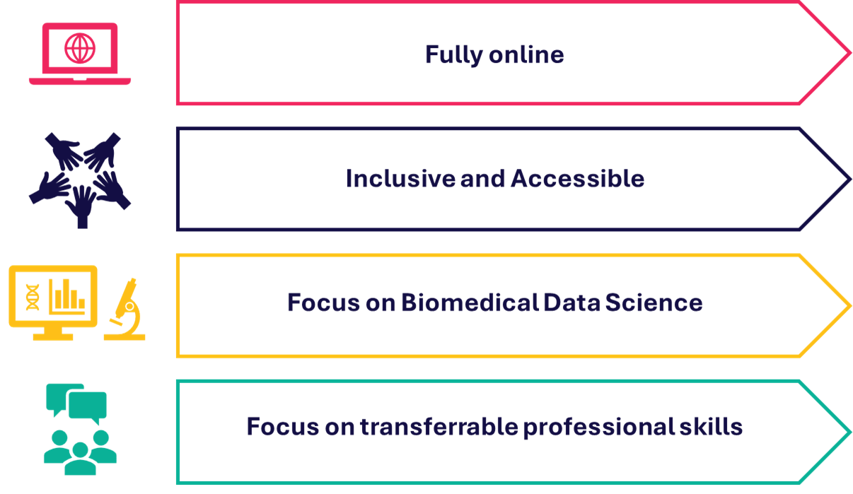 Icons showing the remit of the careers workshop: Online, inclusive, focus on biomedical data science, and focus on transferrable and professional skills