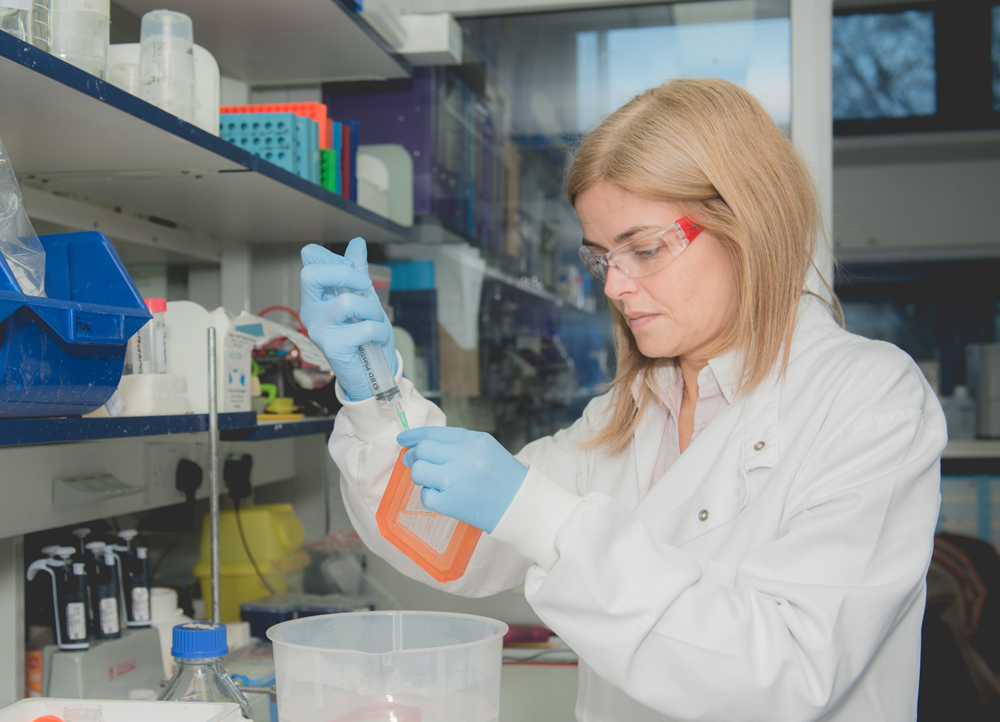 lab-work